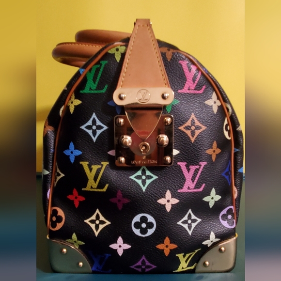 Louis Vuitton Multicolor Speedy - Picture 2 of 16